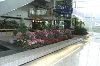 ���܂���˂��Ɓ@�C�O�����@����������