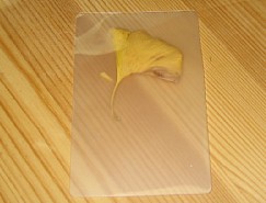 くまがやねっと 落ち葉のしおり