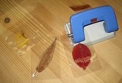 くまがやねっと 落ち葉のしおり
