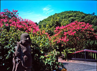 ���܂���˂��Ɓ@�ԋI�s�@��Q�X��@�����̗��@�S���g