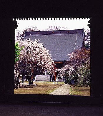 ���܂���˂��Ɓ@���肨��ʐ^�I�s�@��