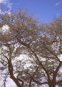 ���܂���˂��Ɓ@���肨��ʐ^�I�s�@��