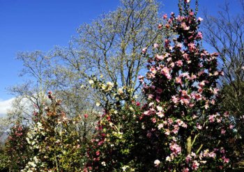 ���肨��ʐ^�I�s�@����܃t�����[�p�[�N