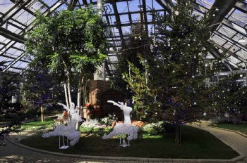 ���肨��ʐ^�I�s�@����܃t�����[�p�[�N