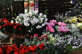 ���肨��ʐ^�I�s�@����܃t�����[�p�[�N