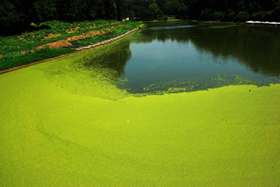 ���肨��ʐ^�I�s