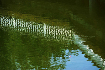 ���肨��ʐ^�I�s