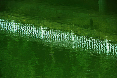 ���肨��ʐ^�I�s