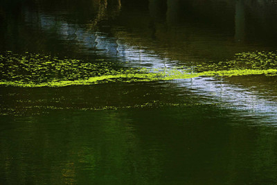 ���肨��ʐ^�I�s