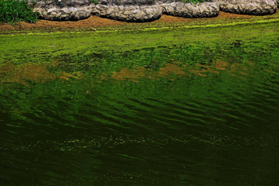 ���肨��ʐ^�I�s