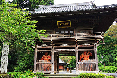 ���肨��ʐ^�I�s