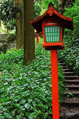 ���肨��ʐ^�I�s