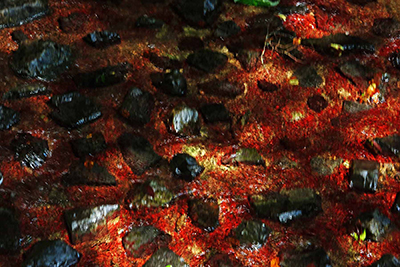 ���肨��ʐ^�I�s