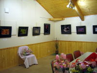 �ʐ^�W�̗l�q