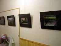 �ʐ^�W�̗l�q