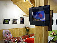 �ʐ^�W�̗l�q