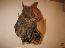 �ѓc�����_�Ё@���̖؂̍�