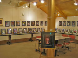 �M�������[���i