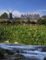 �n�X�̉،�������