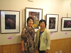 ���܂���˂��Ɓ@�M�������[�o�b�N�i���o�[