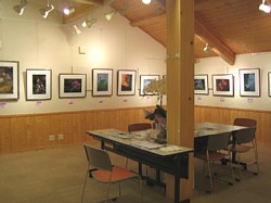 ���܂���˂��Ɓ@�M�������[�o�b�N�i���o�[