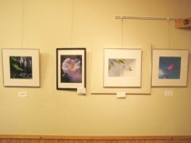 ���܂���كM�������[