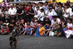 ��7��@������Վʐ^�R���N�[��