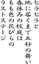 ��41��F�J�̉���I��