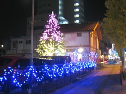 �F�J�s�@�C���~�l�[�V����