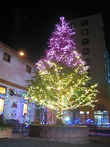 �F�J�s�@�C���~�l�[�V����