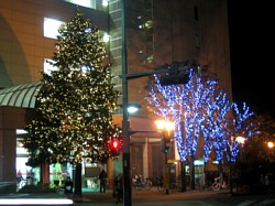 �F�J�s�@�C���~�l�[�V����