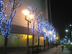 �F�J�s�@�C���~�l�[�V����