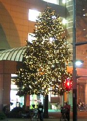 �F�J�s�@�C���~�l�[�V����