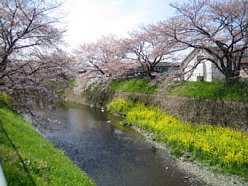 ���܂���˂��Ɓ@��