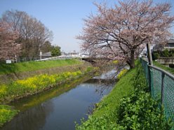 ���܂���˂��Ɓ@��