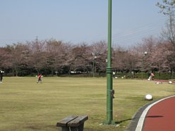 ���܂���˂��Ɓ@��