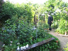 ���܂���˂��Ɓ@�I�[�v���K�[�f�����܂���2010