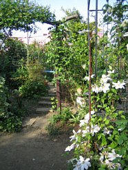 ���܂���˂��Ɓ@�I�[�v���K�[�f�����܂���2010