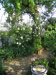 ���܂���˂��Ɓ@�I�[�v���K�[�f�����܂���2010