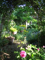 ���܂���˂��Ɓ@�I�[�v���K�[�f�����܂���2010