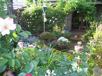 ���܂���˂��Ɓ@�I�[�v���K�[�f�����܂���2010