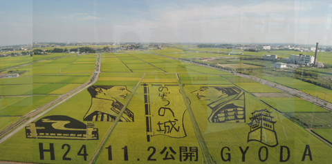 �ߗׂ��ł������