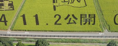 �ߗׂ��ł������