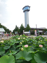 �ߗׂ��ł������