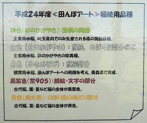 �ߗׂ��ł������