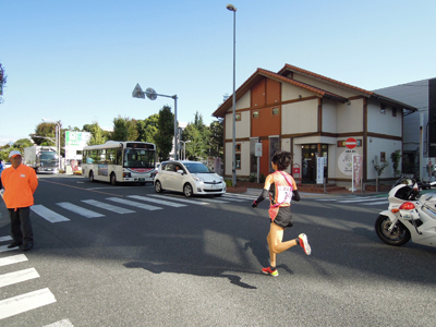 近隣おでかけ情報