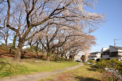 近隣おでかけ情報