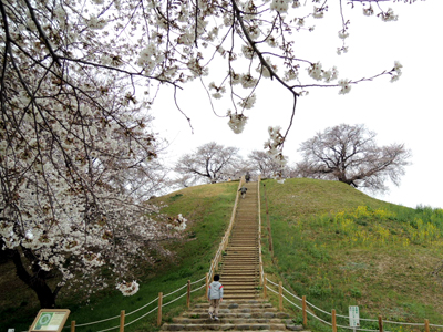 近隣おでかけ情報