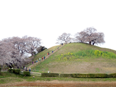 近隣おでかけ情報