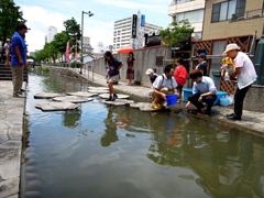 �ߗׂ��ł������